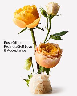 Heirloom Rose Body Lotion image number null