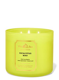 Eucalyptus Mint 3-Wick Candle image number null