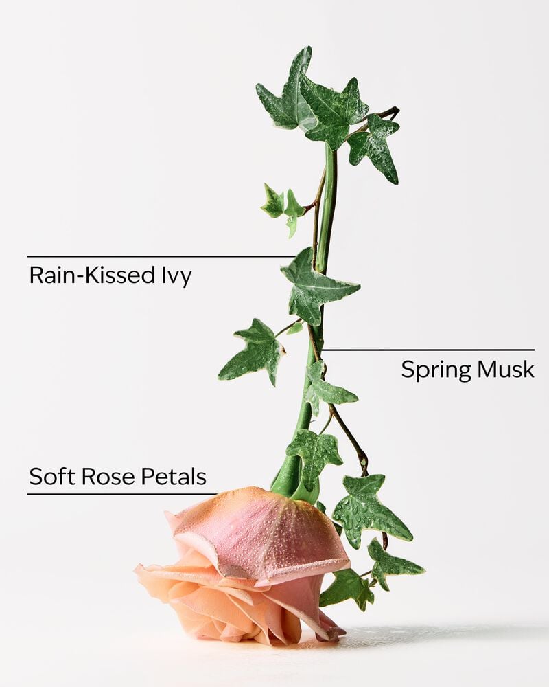 Rose Water & Ivy Moisturizing PocketBac Hand Sanitizer 保濕PocketBac搓手液