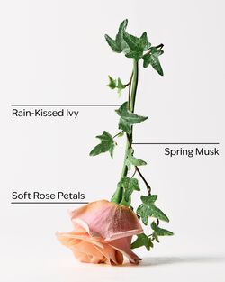 Rose Water & Ivy Moisturizing PocketBac Hand Sanitizer image number null