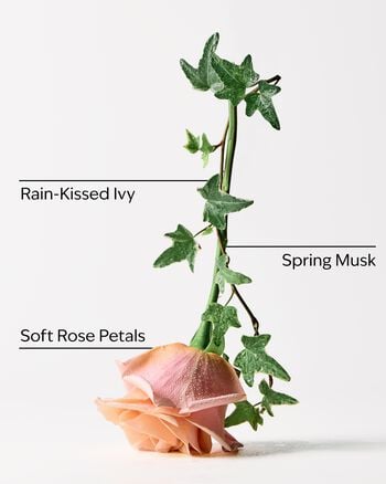 Rose Water & Ivy Moisturizing PocketBac Hand Sanitizer 保濕PocketBac搓手液