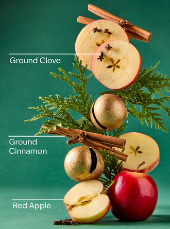 Tis The Season Wallflowers Fragrance Refill 香氛補充液