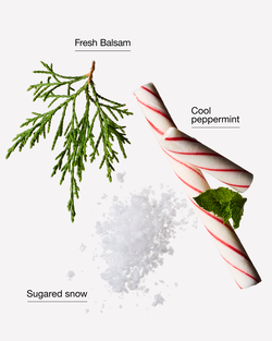 Twisted Peppermint Body Wash