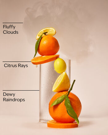 Morning Rainstorm 3-Wick Candle 三芯蠟燭
