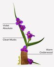 Very Violet Travel Size Fine Fragrance Mist image number null