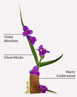Very Violet Travel Size Fine Fragrance Mist image number null