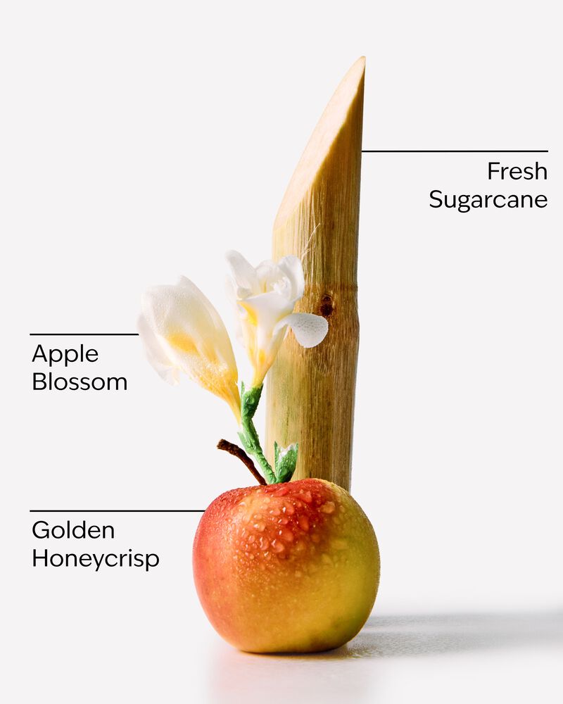 Honeycrisp Apple 3-Wick Candle 三芯蠟燭
