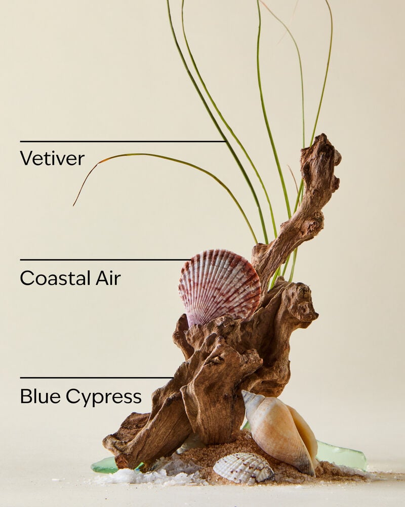 Ocean Tent Gift Gift Set