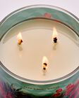 Warm Ocean Breeze 3-Wick Candle image number null