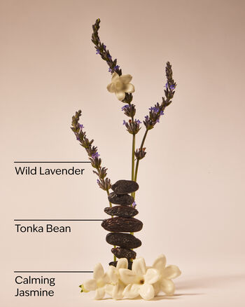 Sweet Lavender Daily Moisturizing Hand Soap 日常保濕洗手液