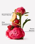 Gingham Gorgeous Moisturizing Body Wash image number null