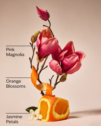 Pink Petal Confetti Wallflowers Fragrance Refill 香氛補充液