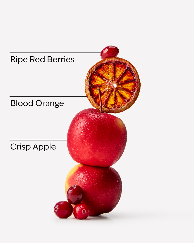 Bright Christmas Morning Travel Size Fine Fragrance Mist Travel Size Fine Fragrance Mist