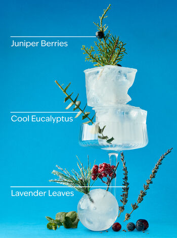 Frozen Lake Signature Single Wick Candle 單芯蠟燭