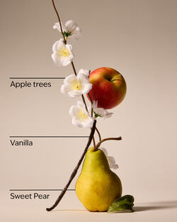 Spring Apple 3-Wick Candle image number null
