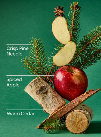 Tree Farm Gentle & Clean Foaming Hand Soap Gentle & Clean Foaming Hand Soap