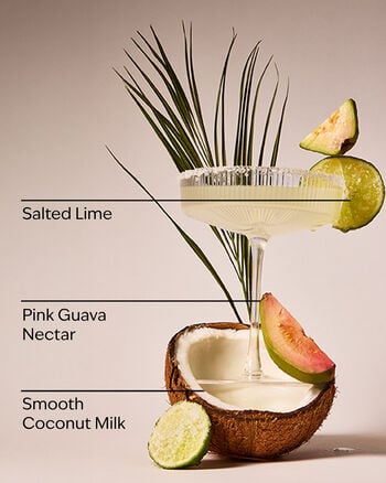 Guava Coconut Margarita Wallflowers Fragrance Refill 香氛補充液