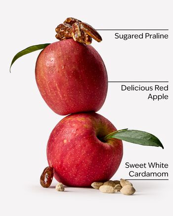 Apple Cinnamon Spice Concentrated Room Spray 濃縮室內噴霧