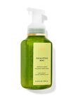 Eucalyptus Mint Gentle & Clean Foaming Hand Soap image number null