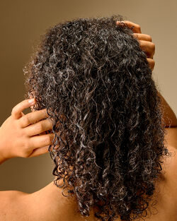 Japanese Cherry Blossom Conditioner image number null