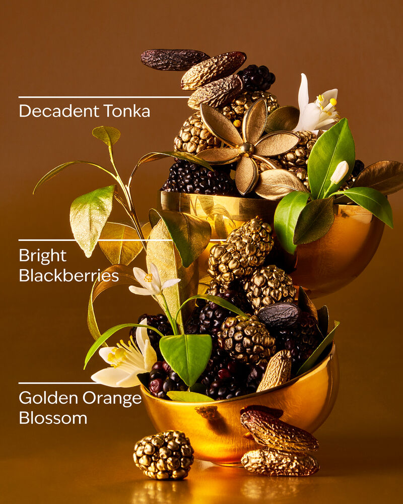 Touch of Gold Body Lotion Body Lotion