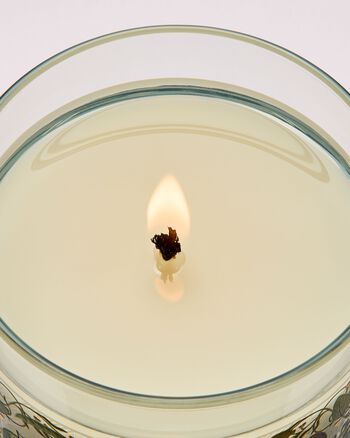 Spring Apple Single Wick Candle 單芯蠟燭