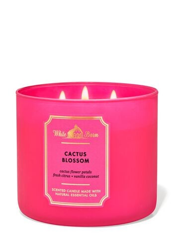 Cactus Blossom 3-Wick Candle 三芯蠟燭