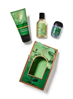 Eucalyptus Spearmint Tent Gift Eucalyptus Spearmint Tent Gift
