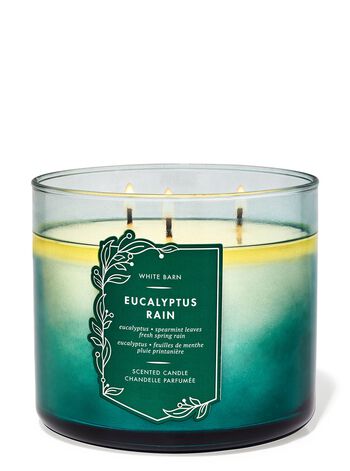 Eucalyptus Rain 3-Wick Candle 三芯蠟燭