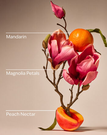 Pink Peach Blossom 3-Wick Candle 三芯蠟燭