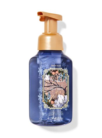 Coconut Mint Drop Gentle & Clean Foaming Hand Soap 溫和泡泡潔手液