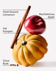 Pumpkin Apple Gentle & Clean Foaming Hand Soap image number null