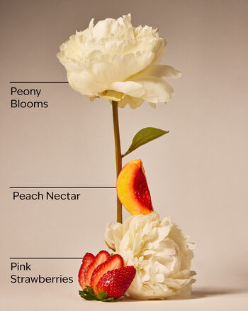 Gingham Gorgeous Daily Nourishing Body Lotion 日常滋養潤膚露