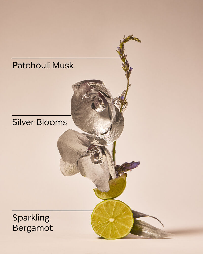 Platinum Daily Nourishing Body Lotion 日常滋養潤膚露