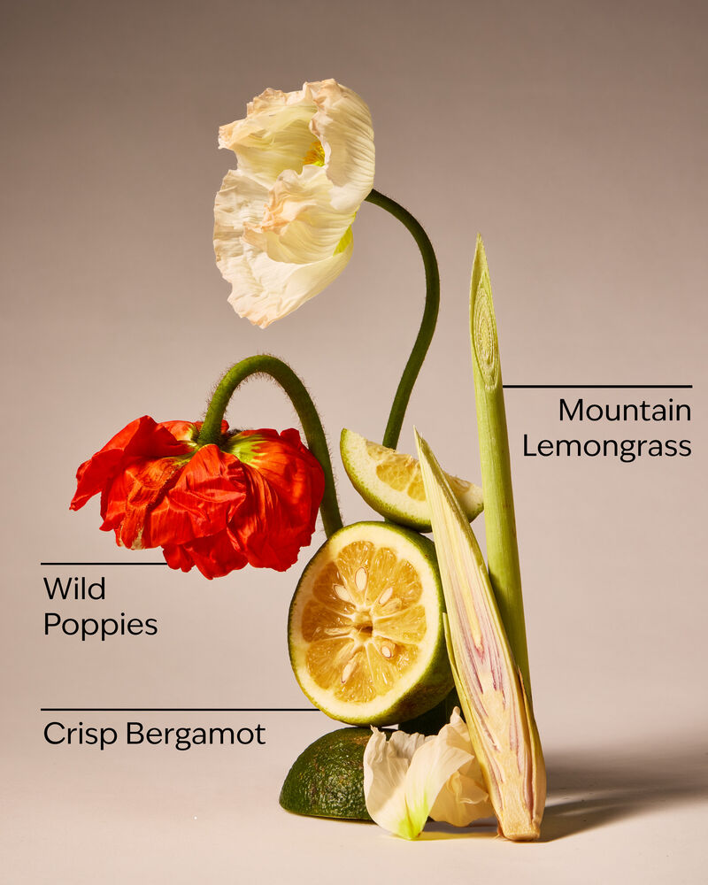 Mountainside Wildflower 3-Wick Candle 三芯蠟燭