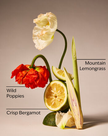 Mountainside Wildflower 3-Wick Candle 三芯蠟燭