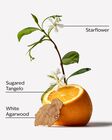 In The Stars Body Wash image number null