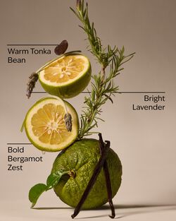 Lavender Bergamot Gentle & Clean Foaming Hand Soap image number null