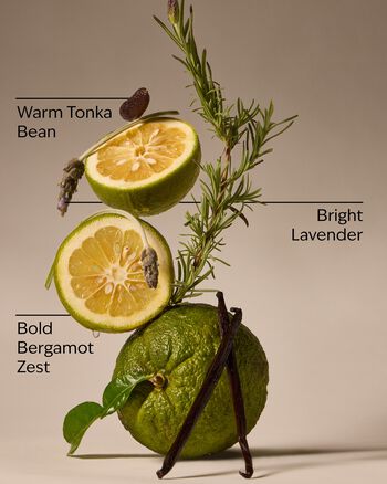 Lavender Bergamot Gentle & Clean Foaming Hand Soap 溫和泡泡潔手液