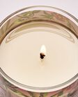 Warm Summer Evening Single Wick Candle image number null