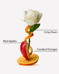 Winter Candy Apple Shimmer Fizz Body Lotion