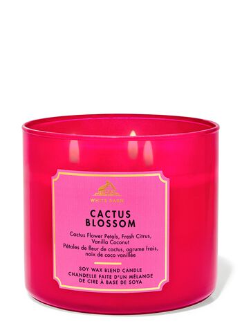 Cactus Blossom 3-Wick Candle 三芯蠟燭