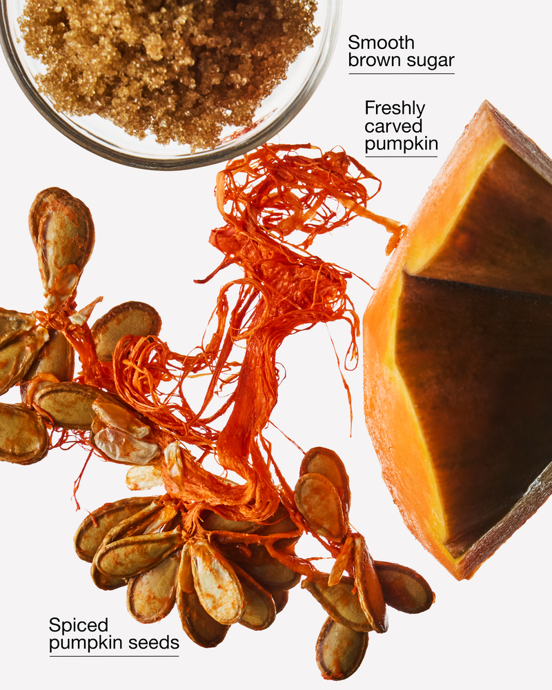 Pumpkin Carving Wallflowers Fragrance Refill 香氛補充液