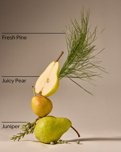 Crisp Morning Air Gentle & Clean Foaming Hand Soap image number null