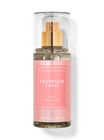 Champagne Toast Travel Size Fine Fragrance Mist image number null