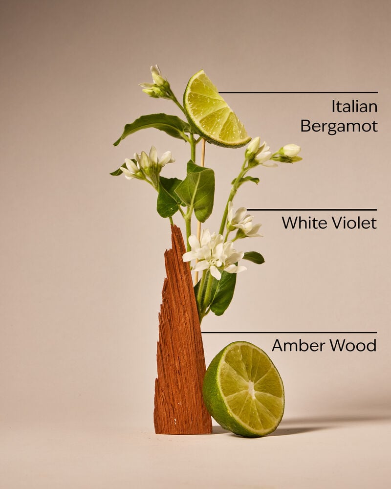 Sunwashed Santal Gentle & Clean Foaming Hand Soap 溫和泡泡潔手液