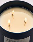 Mahogany Coconut 3-Wick Candle image number null