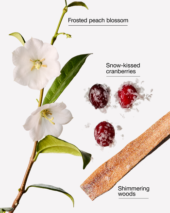 Snowy Peach Berry 3-Wick Candle 三芯蠟燭