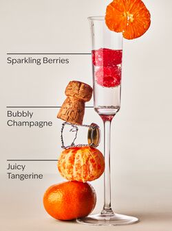 Champagne Toast Gift Set image number null