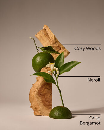 Book Loft Body Cream Ultimate Hydration Body Cream